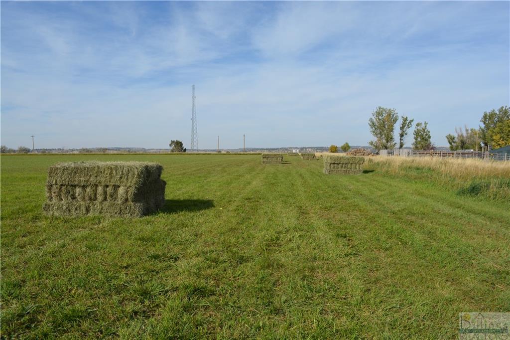 3034 E J Road Property Photo 23