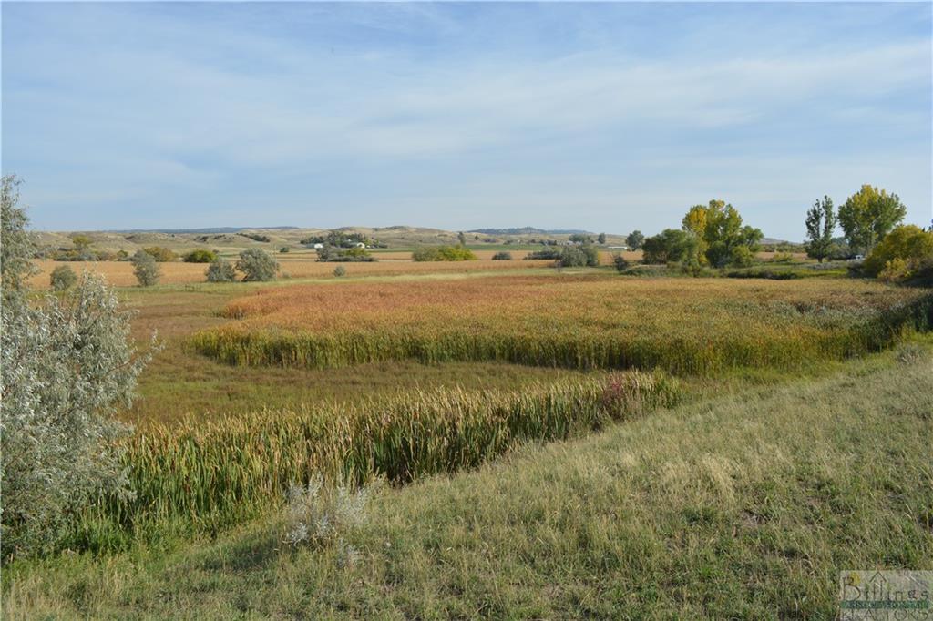 3034 E J Road Property Photo 26