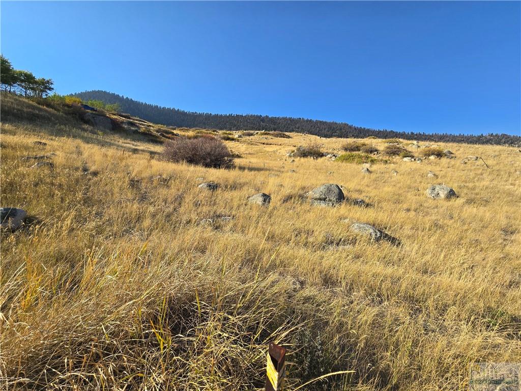 26 Elk Park Trail Property Photo 8