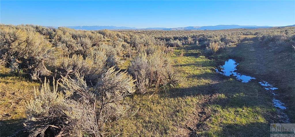 Tbd Shy Road Property Photo 9