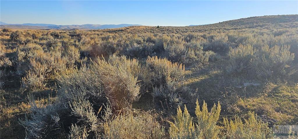 Tbd Shy Road Property Photo 29