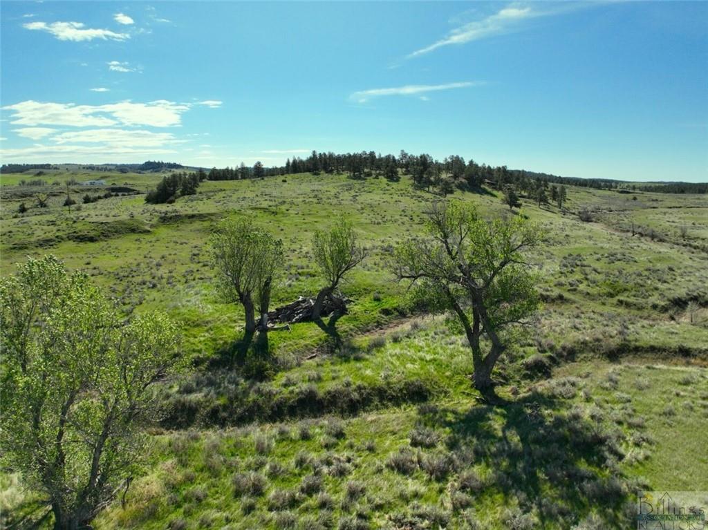 634 Melstone-custer Road Property Photo 10