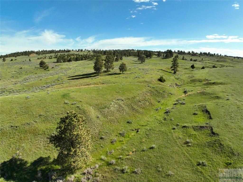 634 Melstone-custer Road Property Photo 11