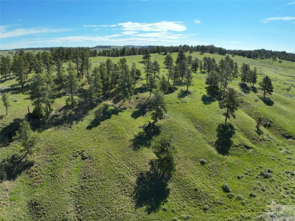 634 Melstone-custer Road Property Photo 12