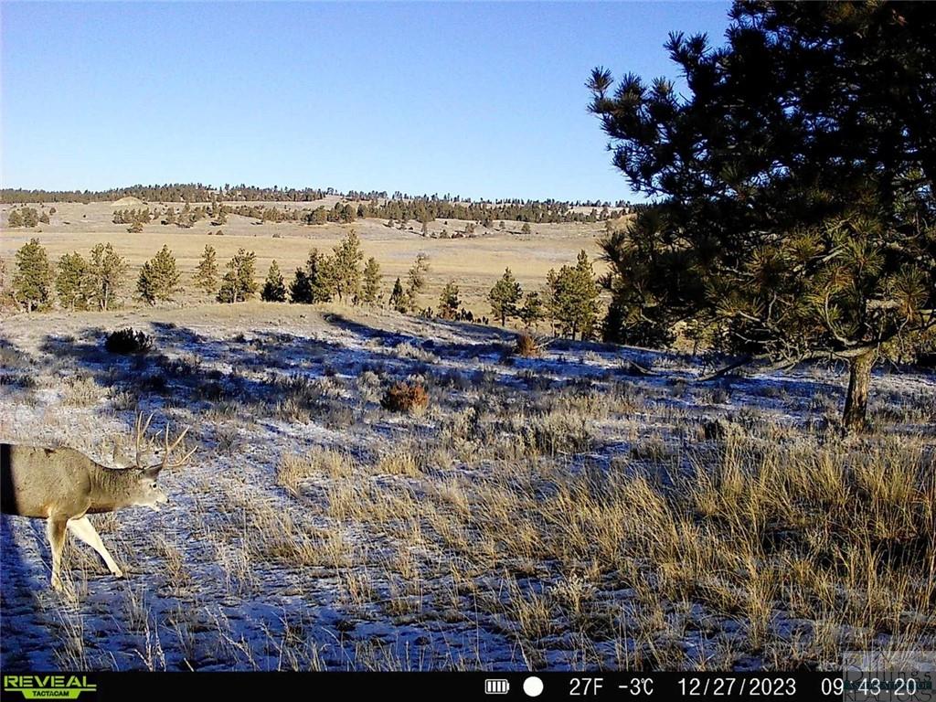 634 Melstone-custer Road Property Photo 20