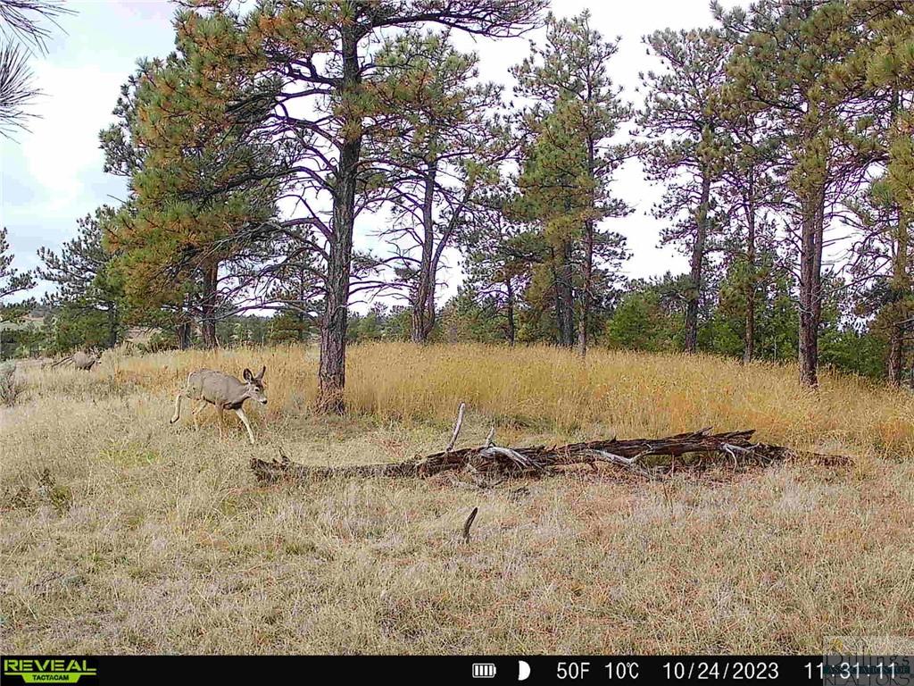 634 Melstone-custer Road Property Photo 22