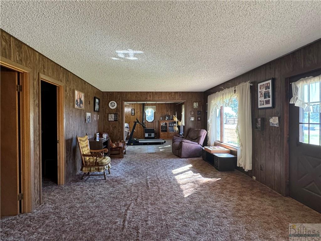 13387 County Road 354t Property Photo 3