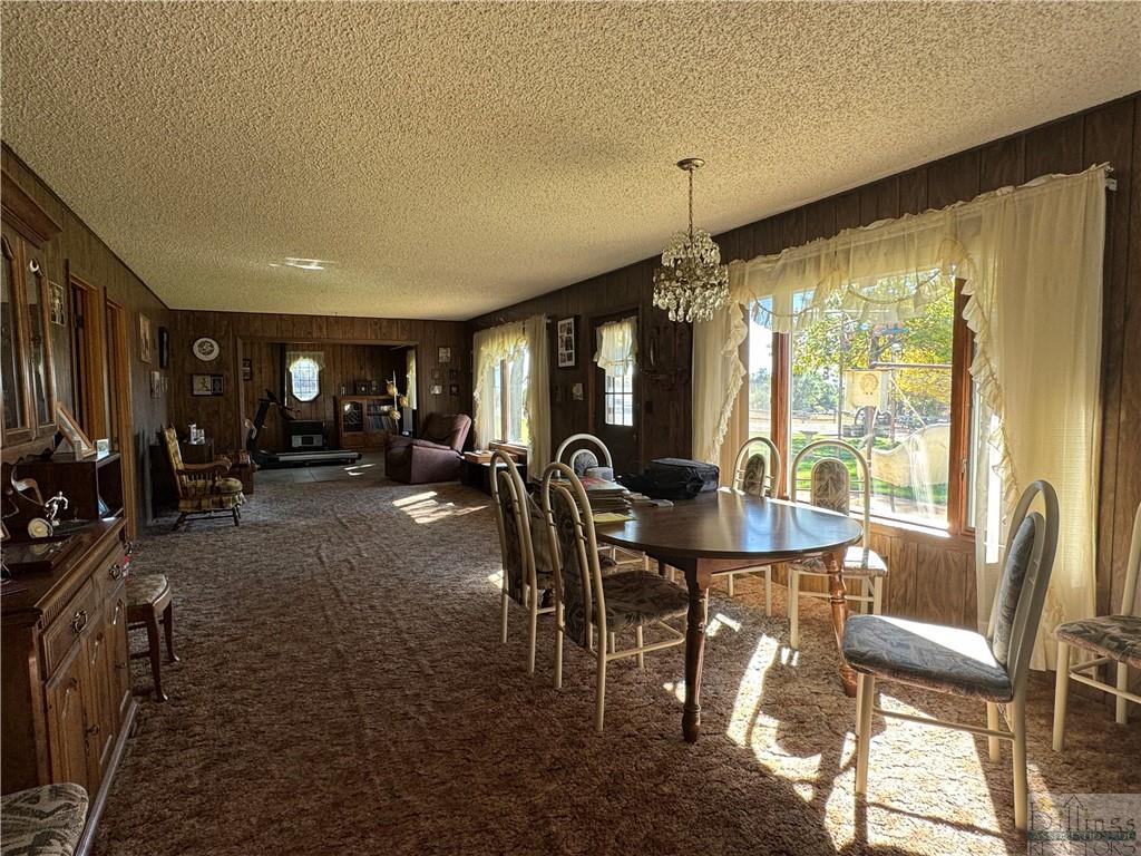 13387 County Road 354t Property Photo 4
