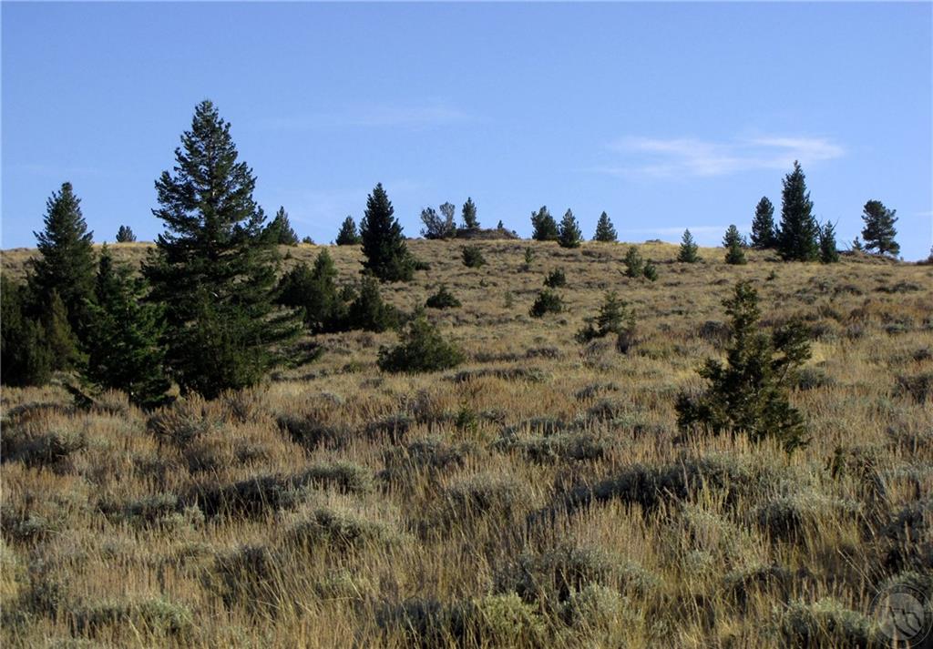 Tbd Revenue Road Property Photo 5