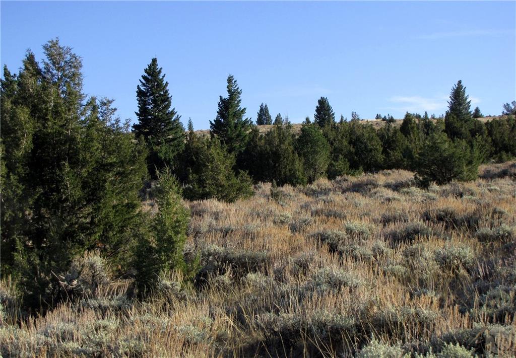 Tbd Revenue Road Property Photo 8