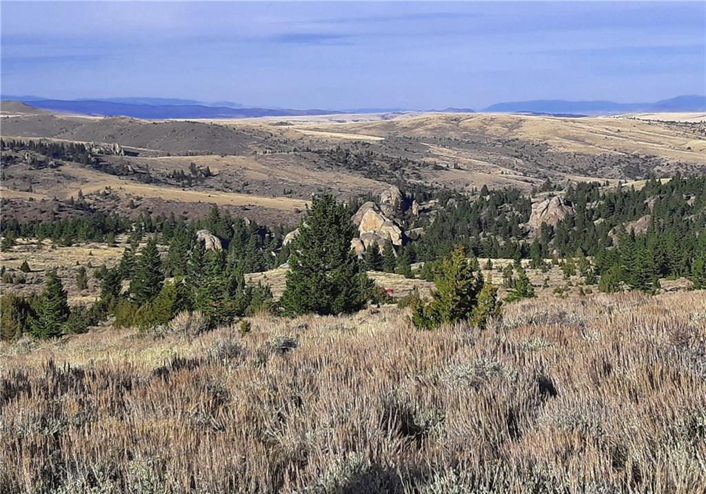 Tbd Revenue Road Property Photo 11