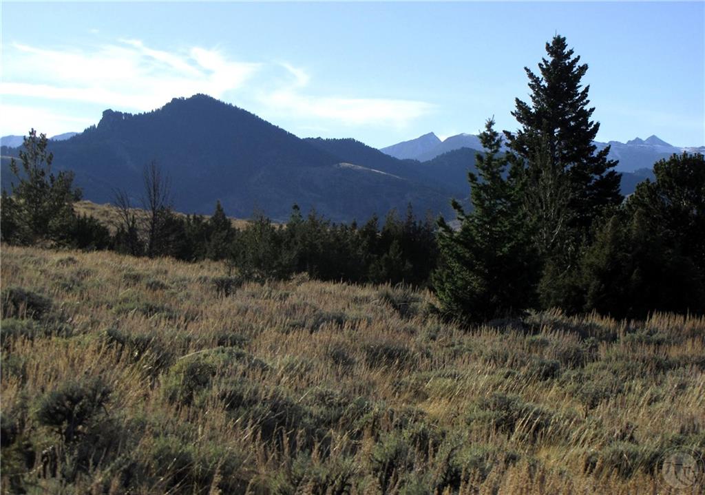 Tbd Revenue Road Property Photo 31