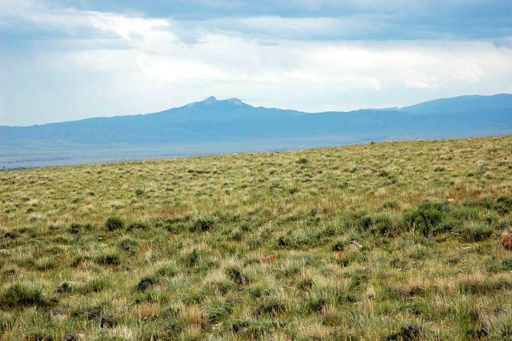 22 Broken Trail Property Photo 14