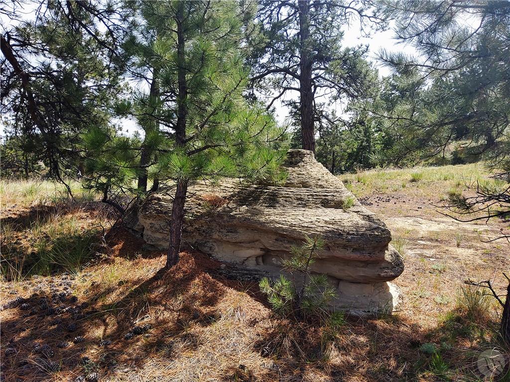 Tbd Alkali Creek Subd Property Photo 3