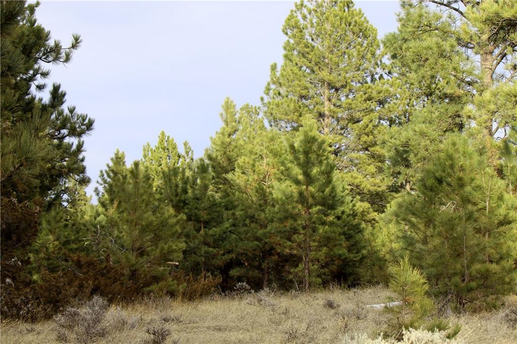 Nhn Pine Crest Road Property Photo 14
