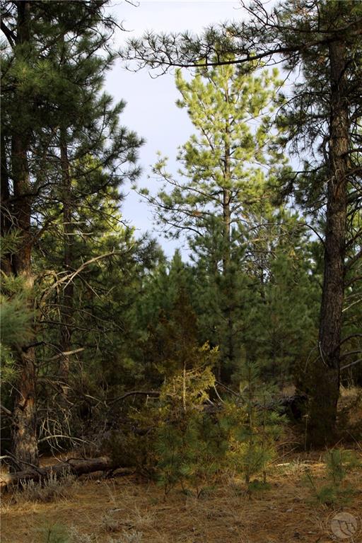 Nhn Pine Crest Road Property Photo 25