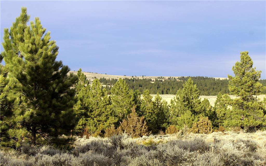 Nhn Pine Crest Road Property Photo 30