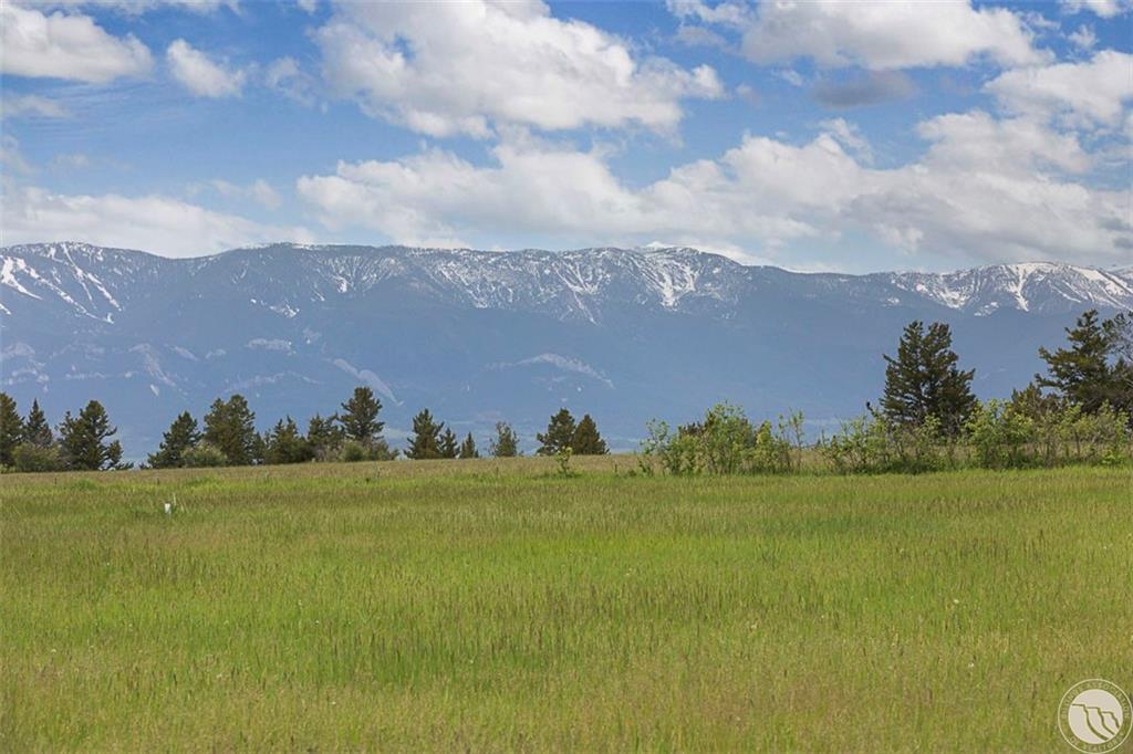 Lot 41 Buttercup Drive Property Photo 1