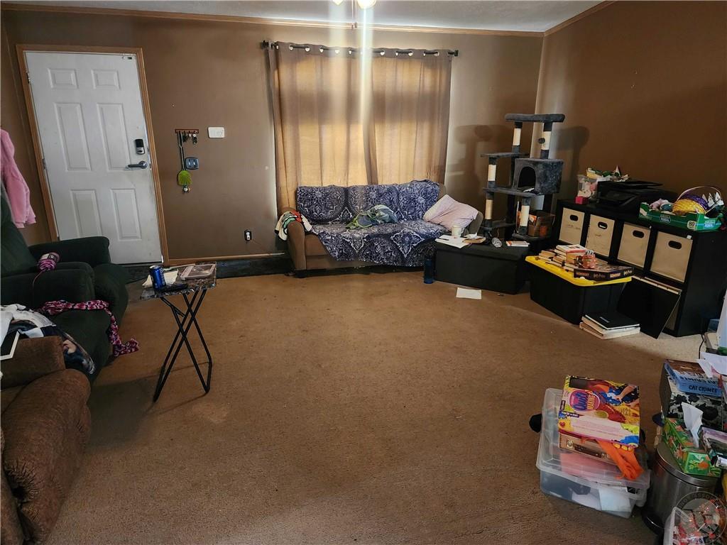 3 Stella Street Property Photo 2