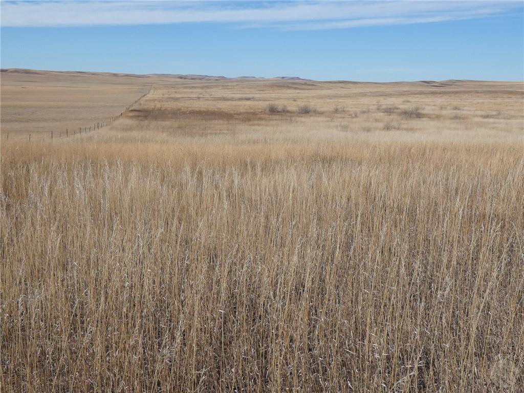 Nhn County Road 347 Sidney Property Photo 18