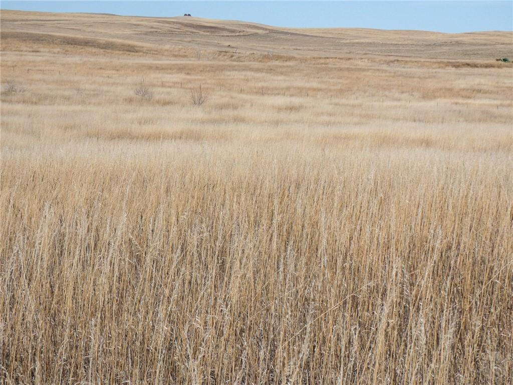 Nhn County Road 347 Sidney Property Photo 23