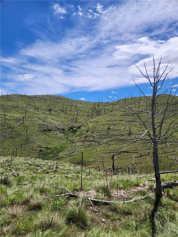Lot 222 Coyote Pass Property Photo 19