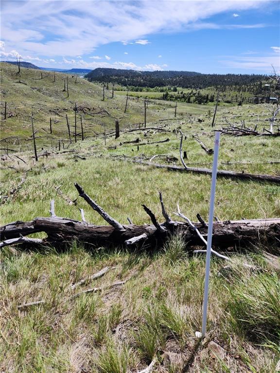 Lot 201 Coyote Pass Property Photo 26