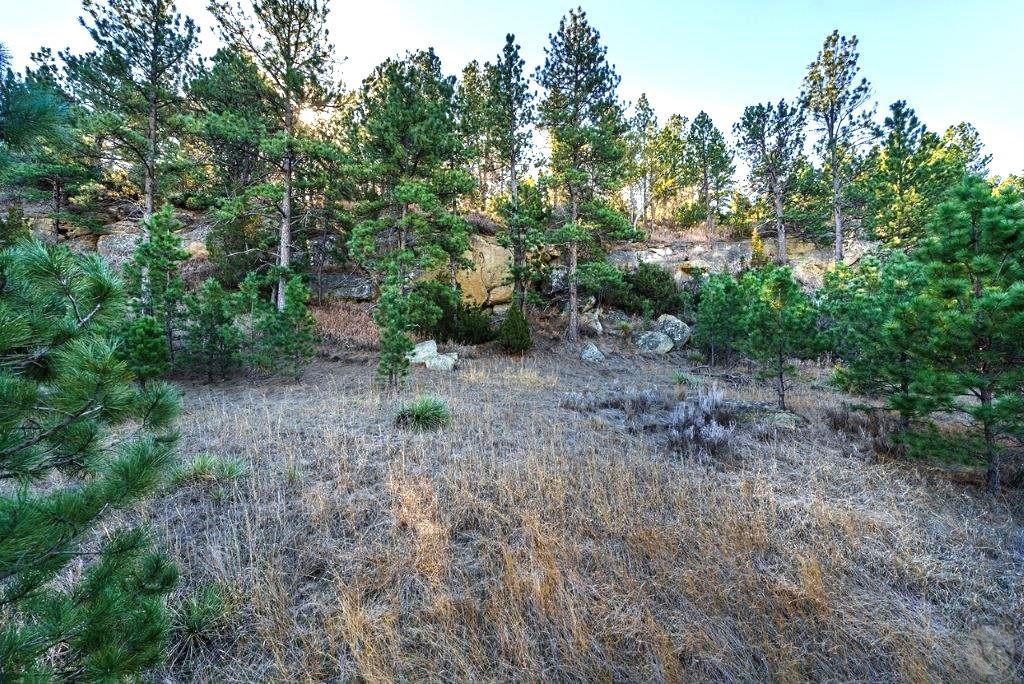1010 Moon Valley Road Property Photo 23