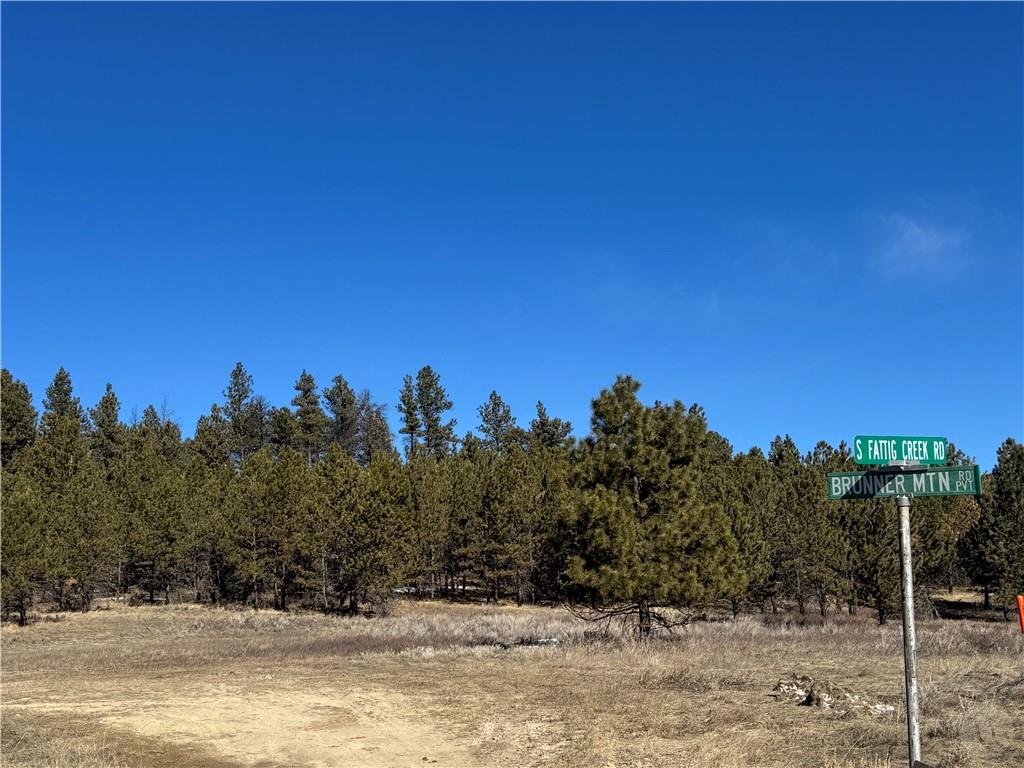 49 Bruner Mountain Road Property Photo 1