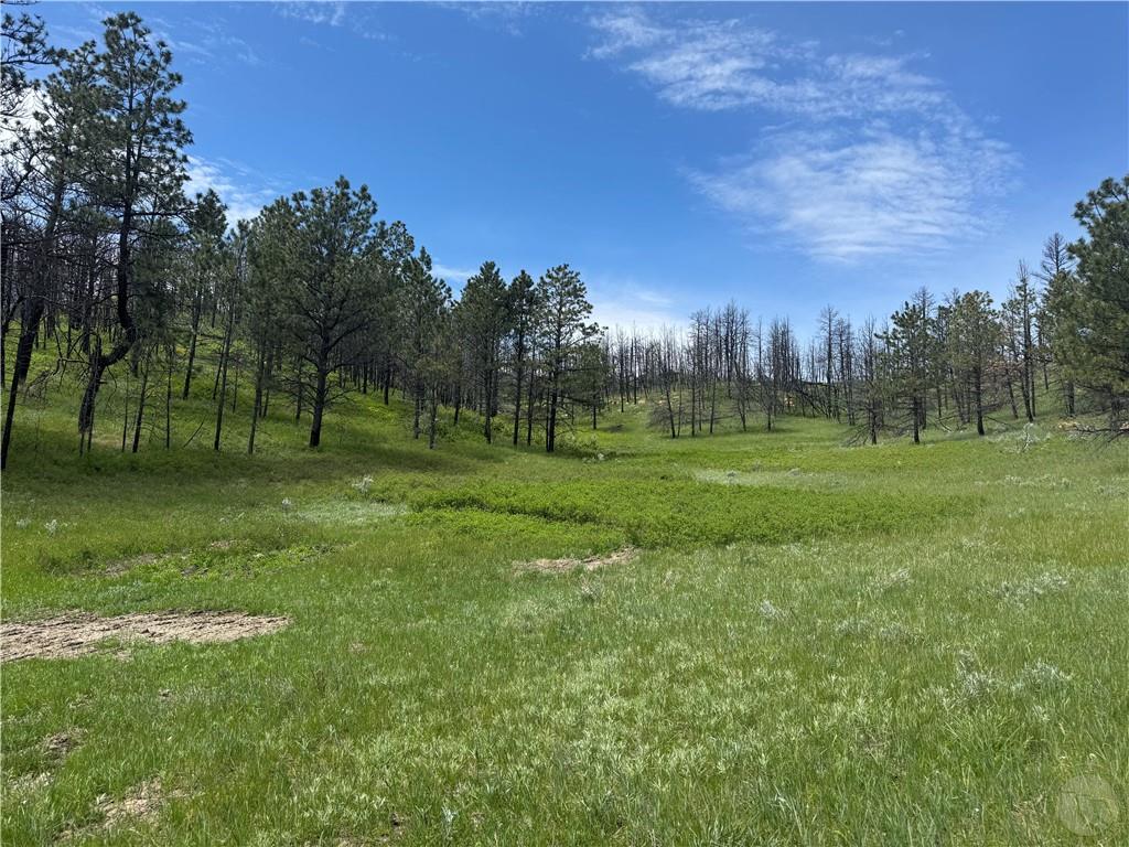 49 Bruner Mountain Road Property Photo 1