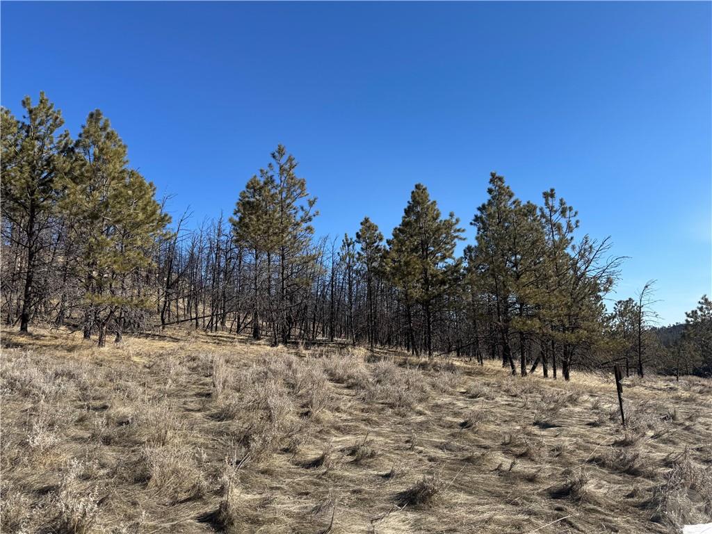 49 Bruner Mountain Road Property Photo 3