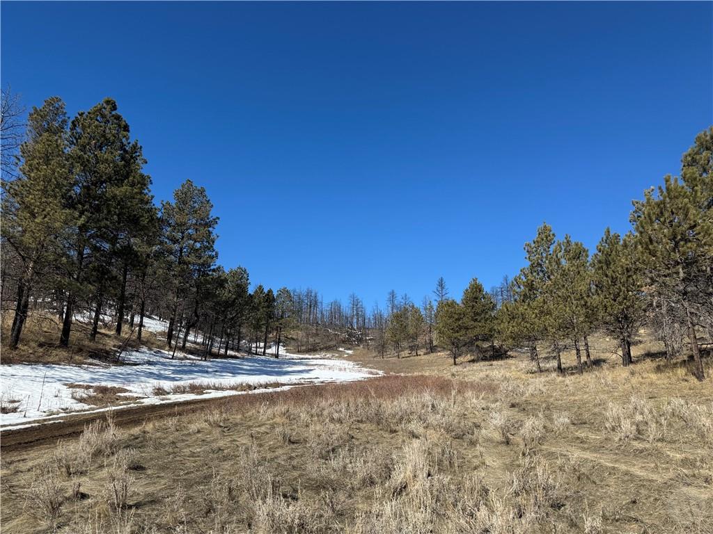 49 Bruner Mountain Road Property Photo 5