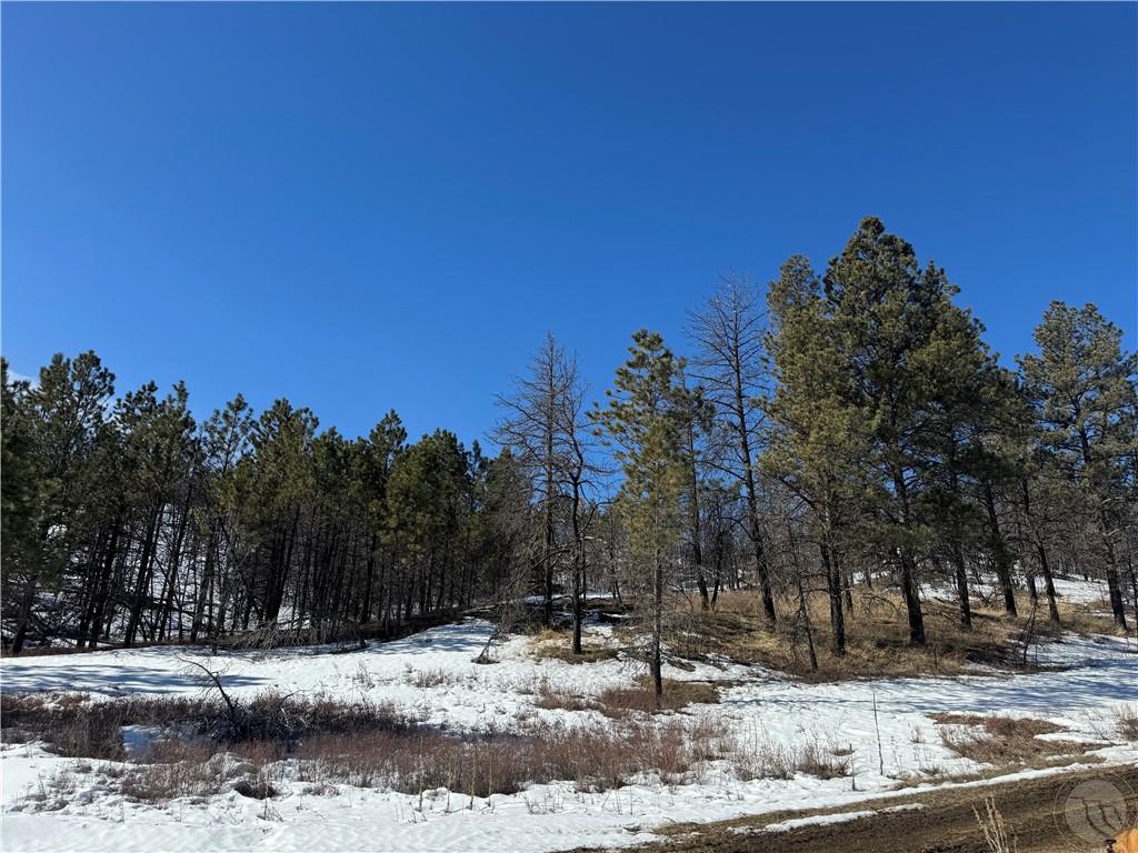 49 Bruner Mountain Road Property Photo 7