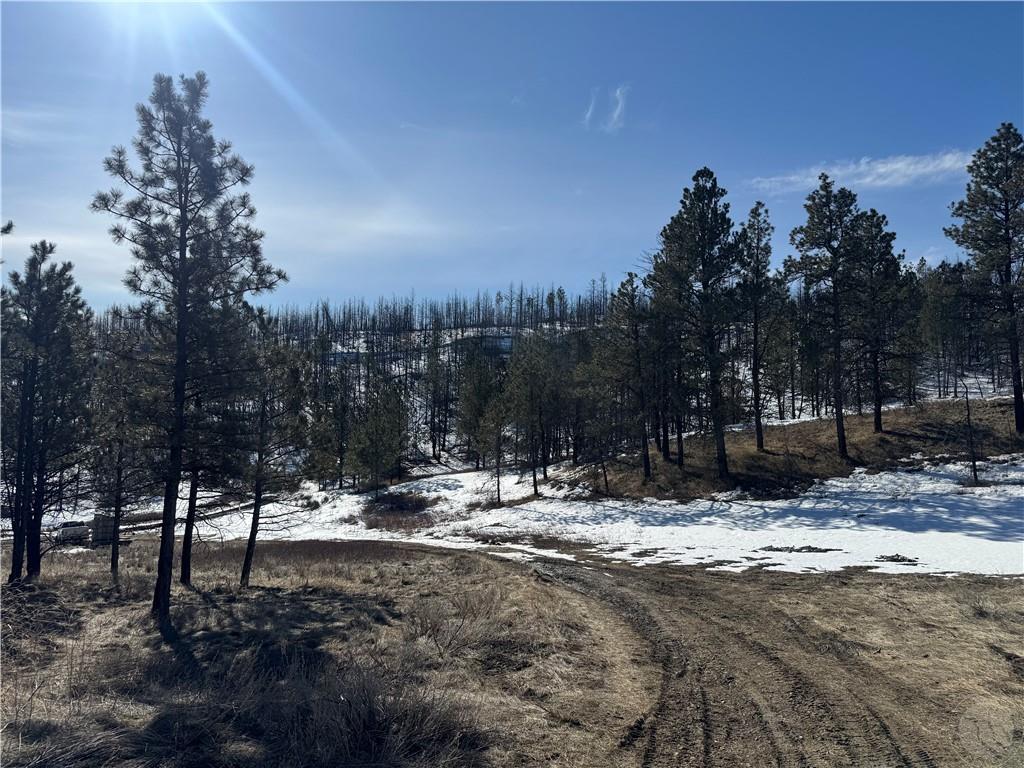 49 Bruner Mountain Road Property Photo 8