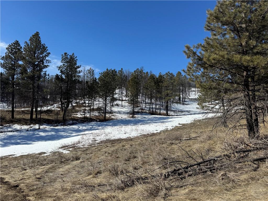 49 Bruner Mountain Road Property Photo 9