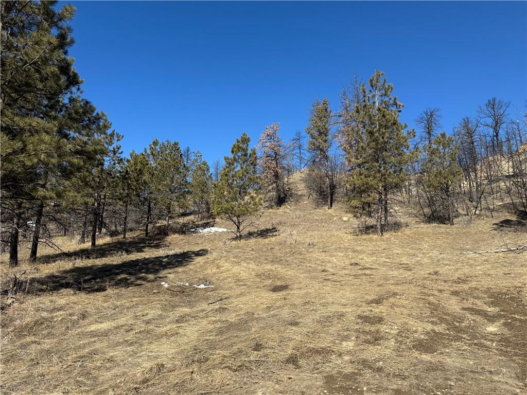 49 Bruner Mountain Road Property Photo 10