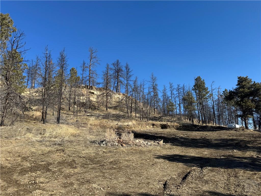 49 Bruner Mountain Road Property Photo 11