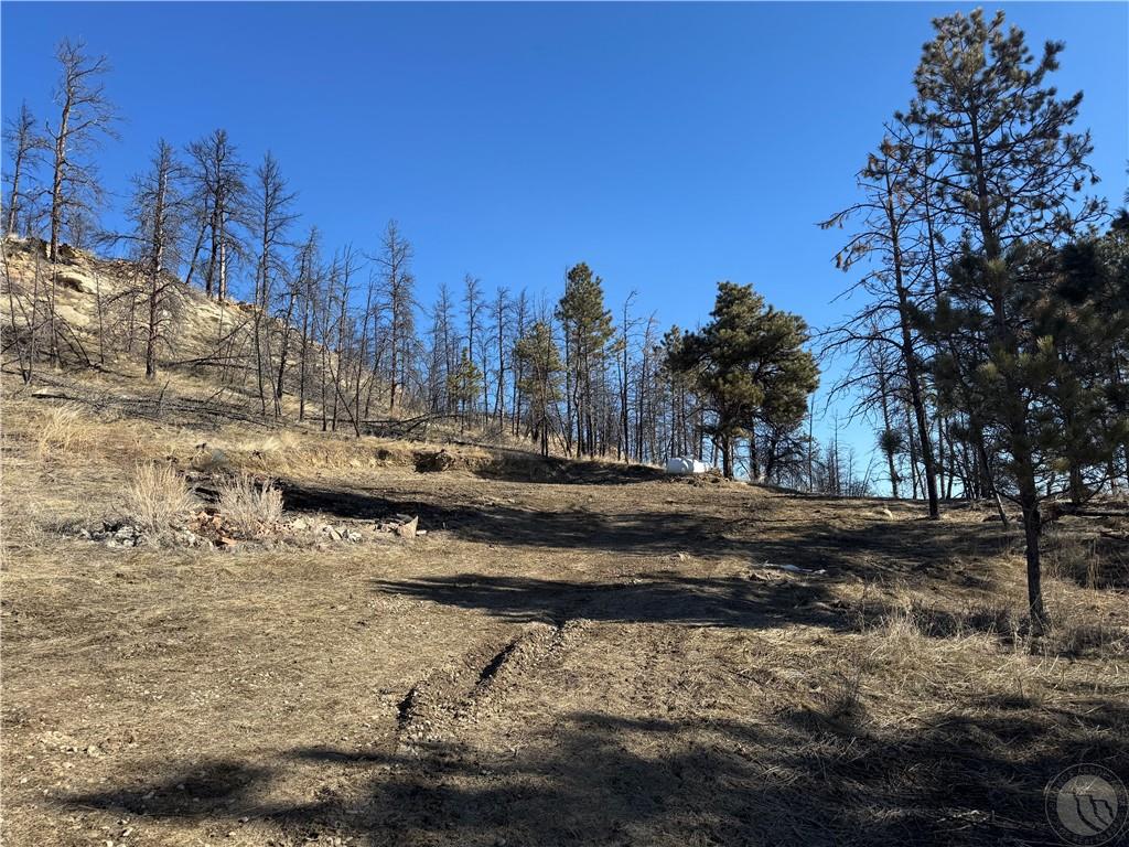 49 Bruner Mountain Road Property Photo 12