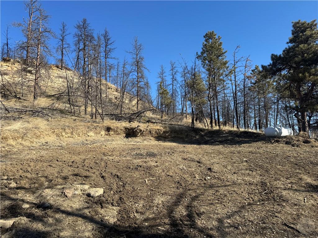 49 Bruner Mountain Road Property Photo 13