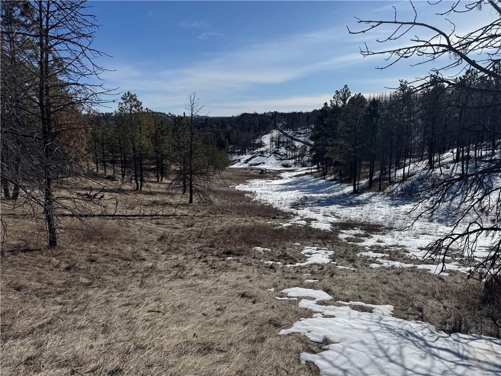49 Bruner Mountain Road Property Photo 18