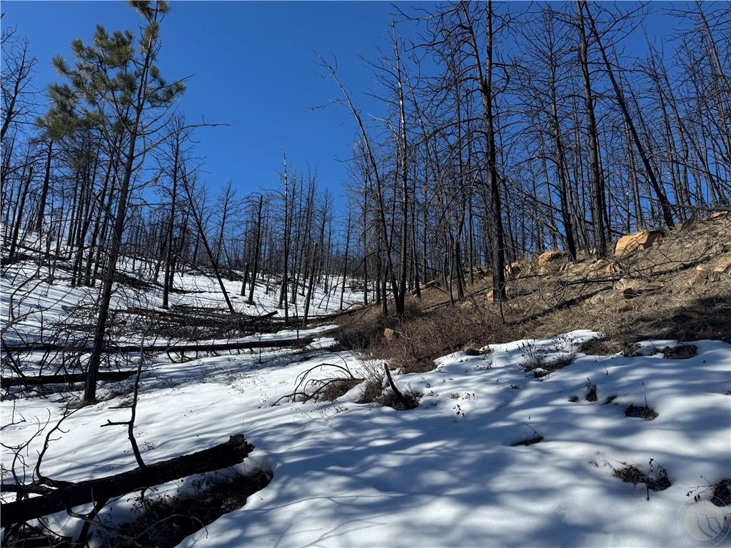 49 Bruner Mountain Road Property Photo 21