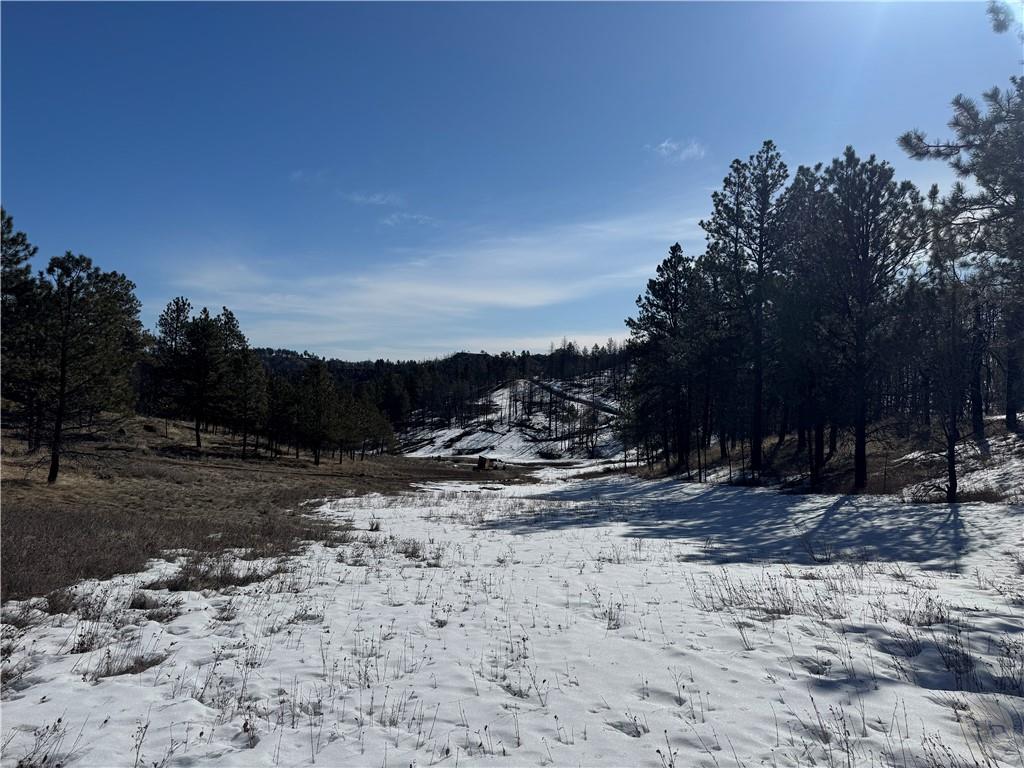 49 Bruner Mountain Road Property Photo 23