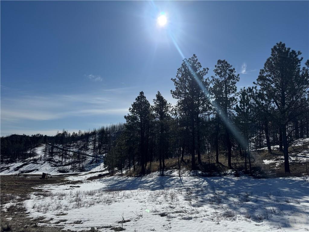 49 Bruner Mountain Road Property Photo 24