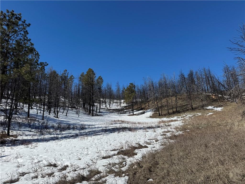 49 Bruner Mountain Road Property Photo 25