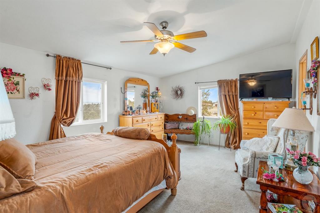 11336 Peaceful Plateau Trail Property Photo 17