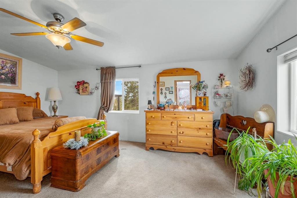11336 Peaceful Plateau Trail Property Photo 18