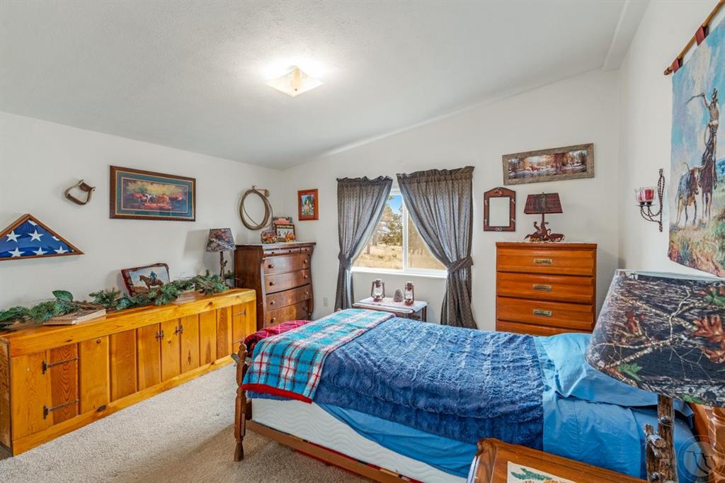 11336 Peaceful Plateau Trail Property Photo 21