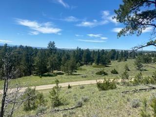 7 Bugling Elk Property Photo