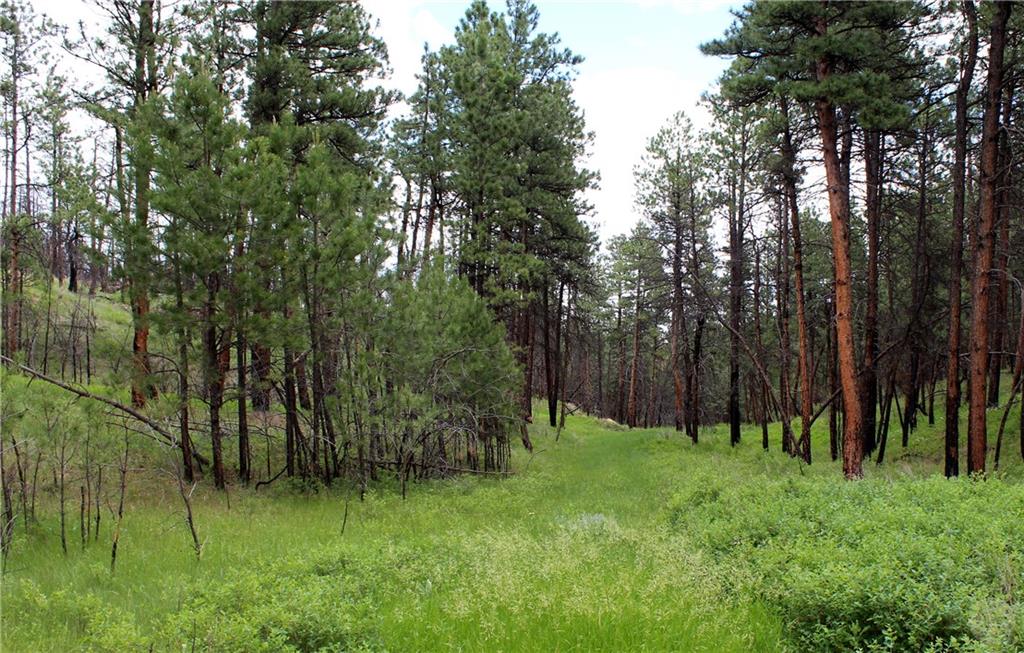 Tbd Deer Lane Property Photo