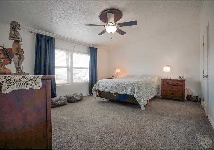 3655 Louis Drive Property Photo 6